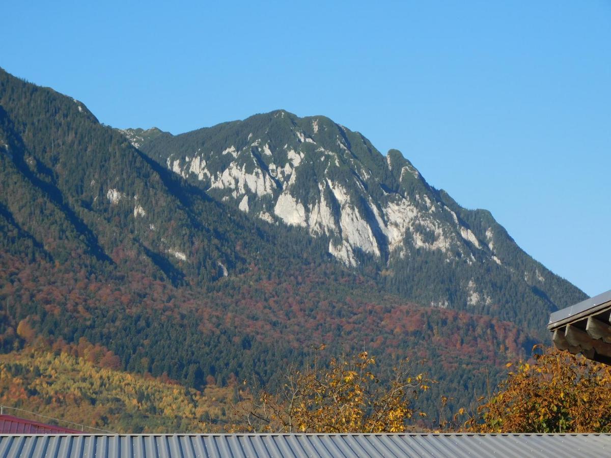 Mountain Vista Suites Zărneşti Kültér fotó