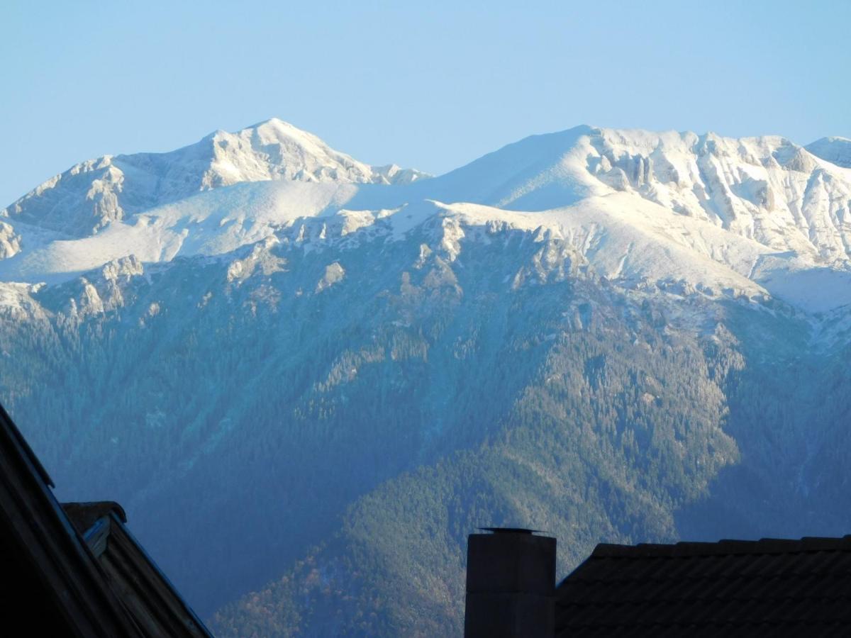 Mountain Vista Suites Zărneşti Kültér fotó