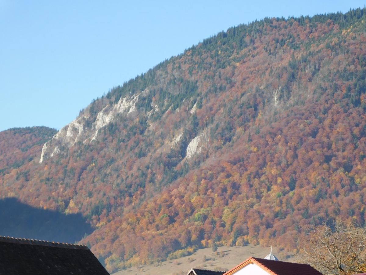 Mountain Vista Suites Zărneşti Kültér fotó