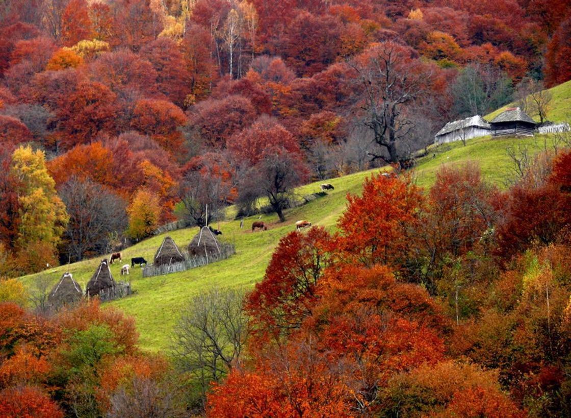 Mountain Vista Suites Zărneşti Kültér fotó