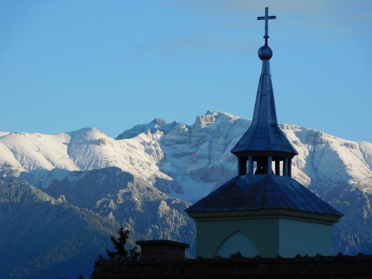 Mountain Vista Suites Zărneşti Kültér fotó