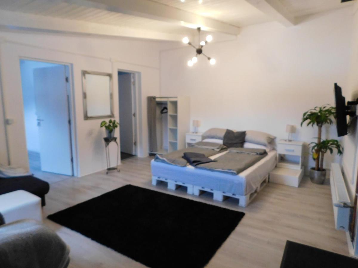 Mountain Vista Suites Zărneşti Kültér fotó