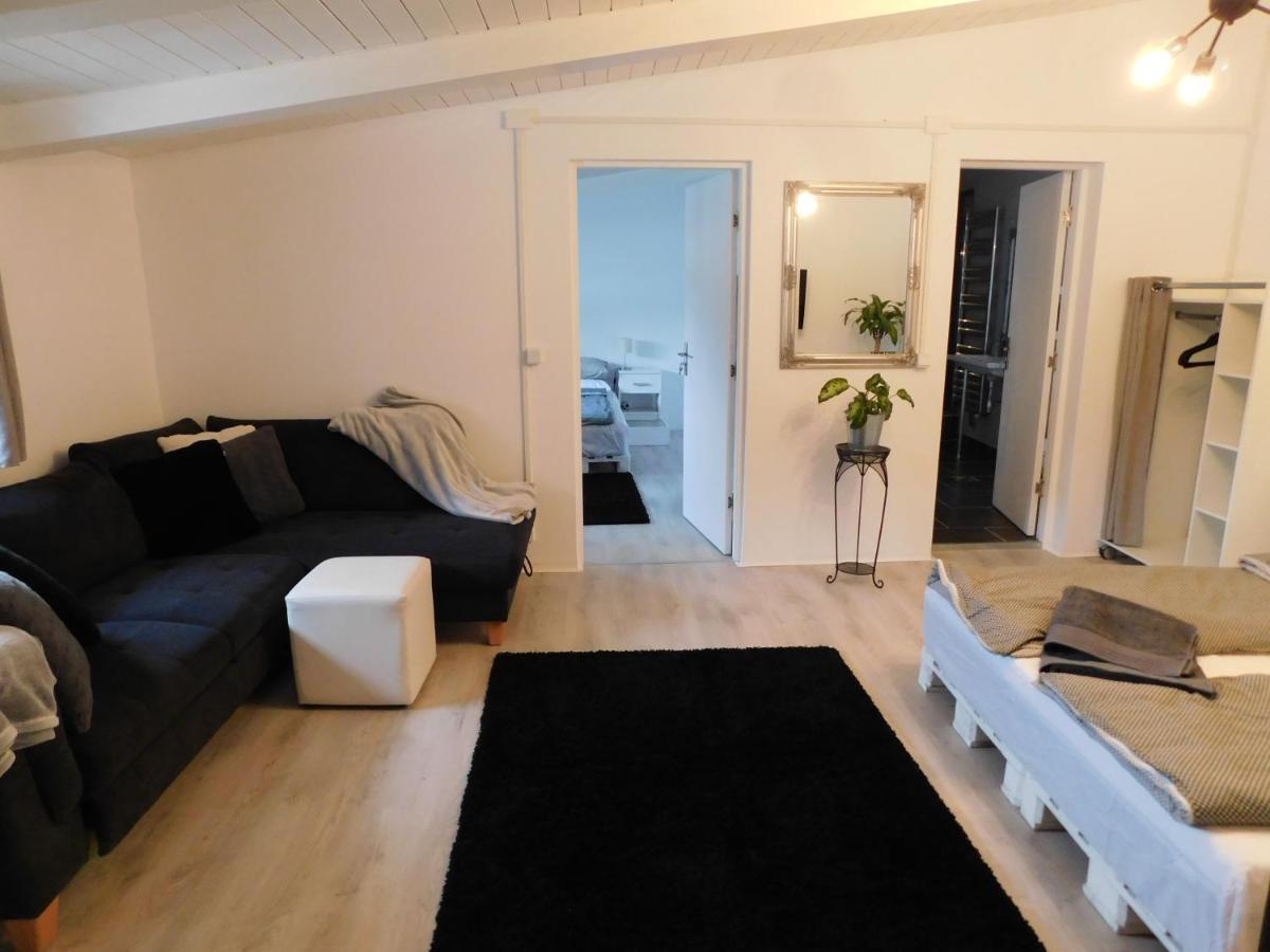 Mountain Vista Suites Zărneşti Kültér fotó
