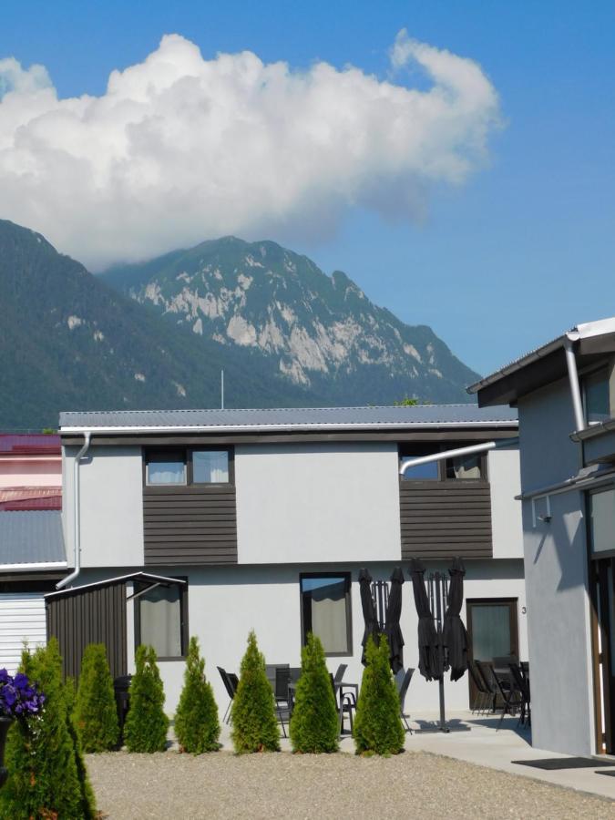 Mountain Vista Suites Zărneşti Kültér fotó