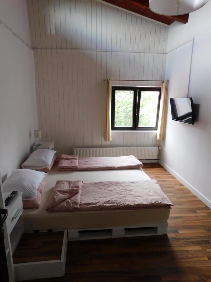 Mountain Vista Suites Zărneşti Kültér fotó