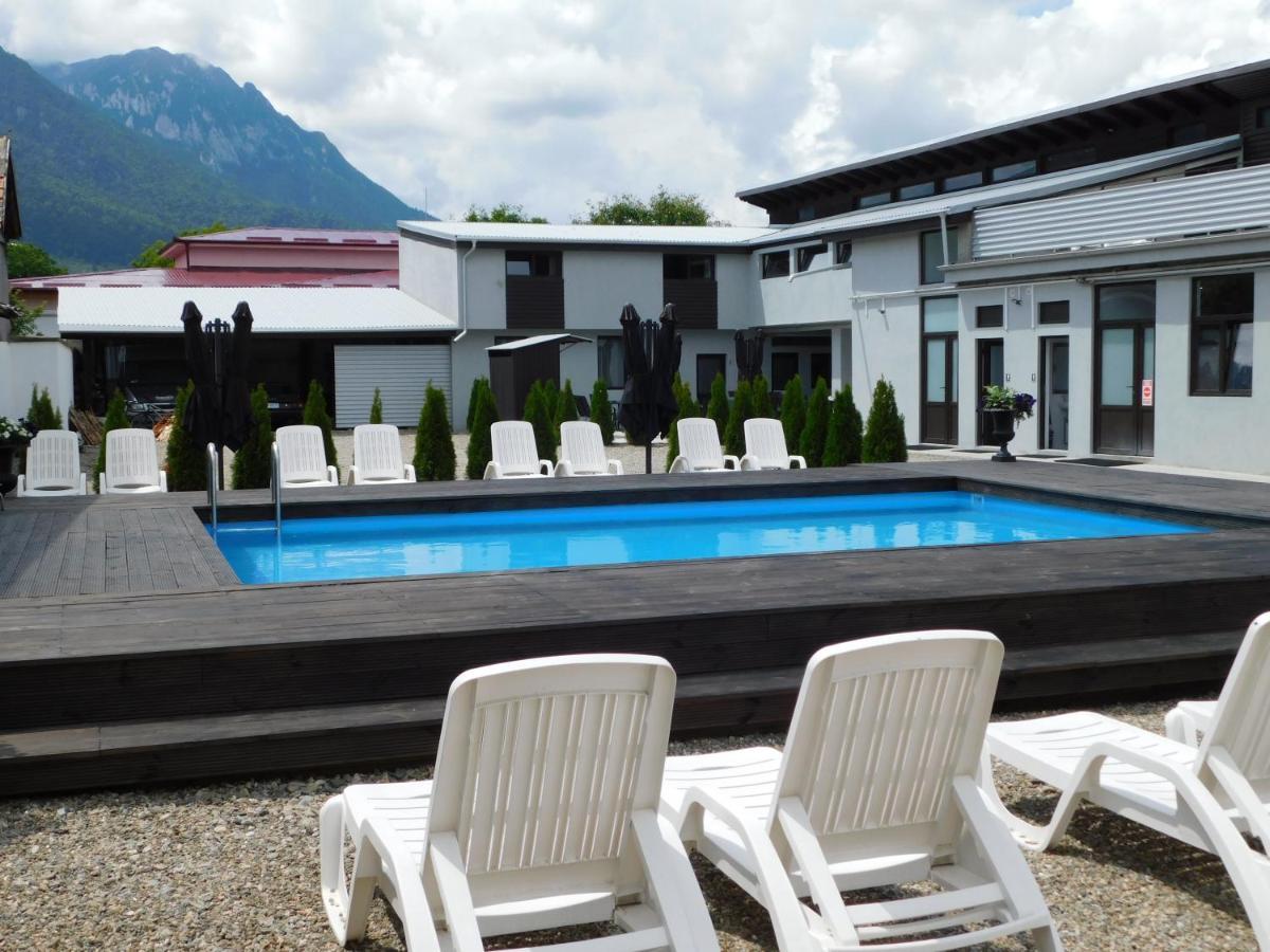 Mountain Vista Suites Zărneşti Kültér fotó